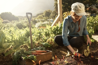 Eine Frau gärtnert und pflanzt dabei kleine Setzlinge ein. Im Hintergrund sieht man den Garten und das bepfanzte Beet.
