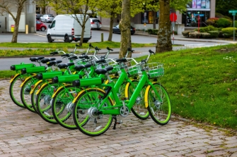 Grüne Fahrräder stehen nebeneinander vor einer Wiese in der Stadt.
